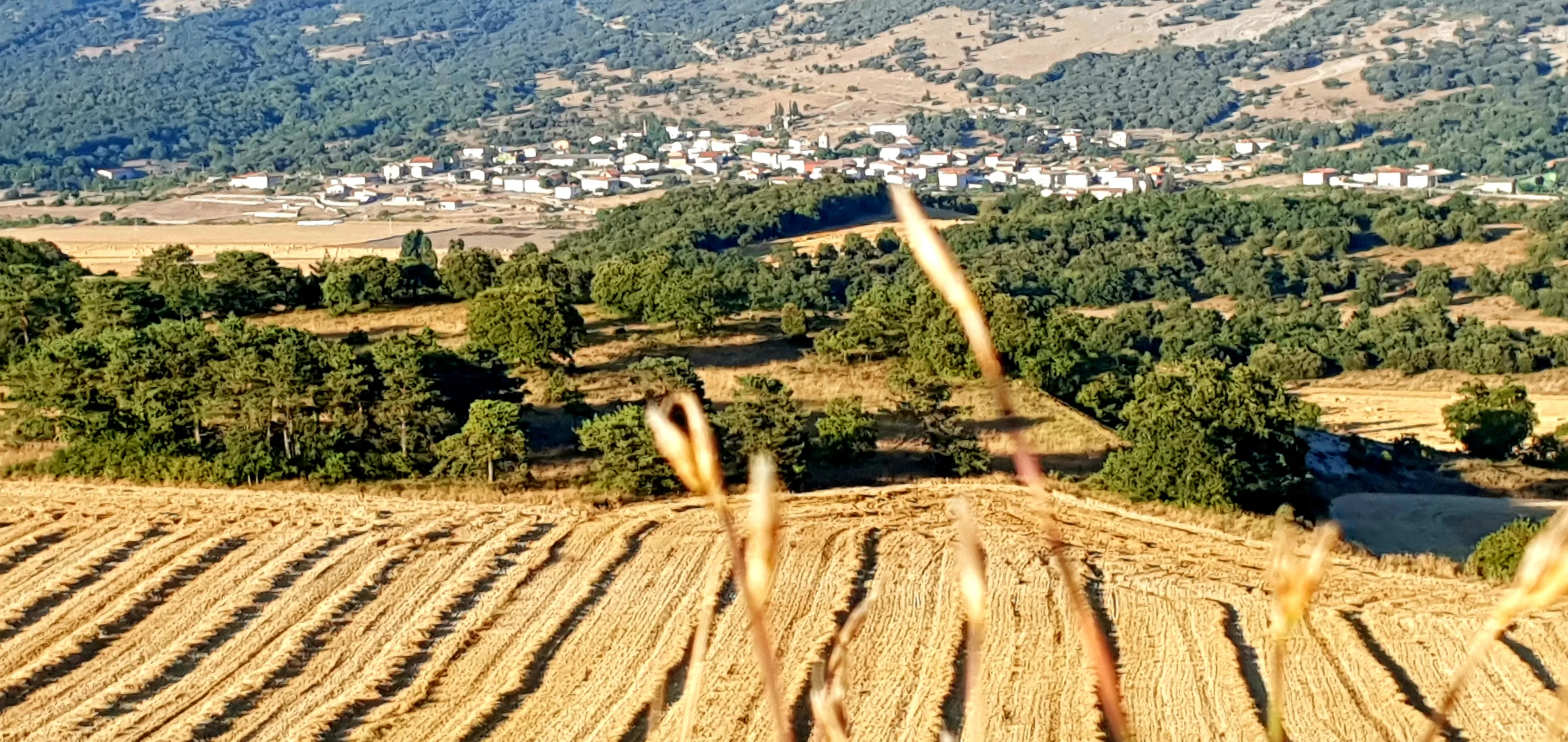 Patrimonio de Berberana