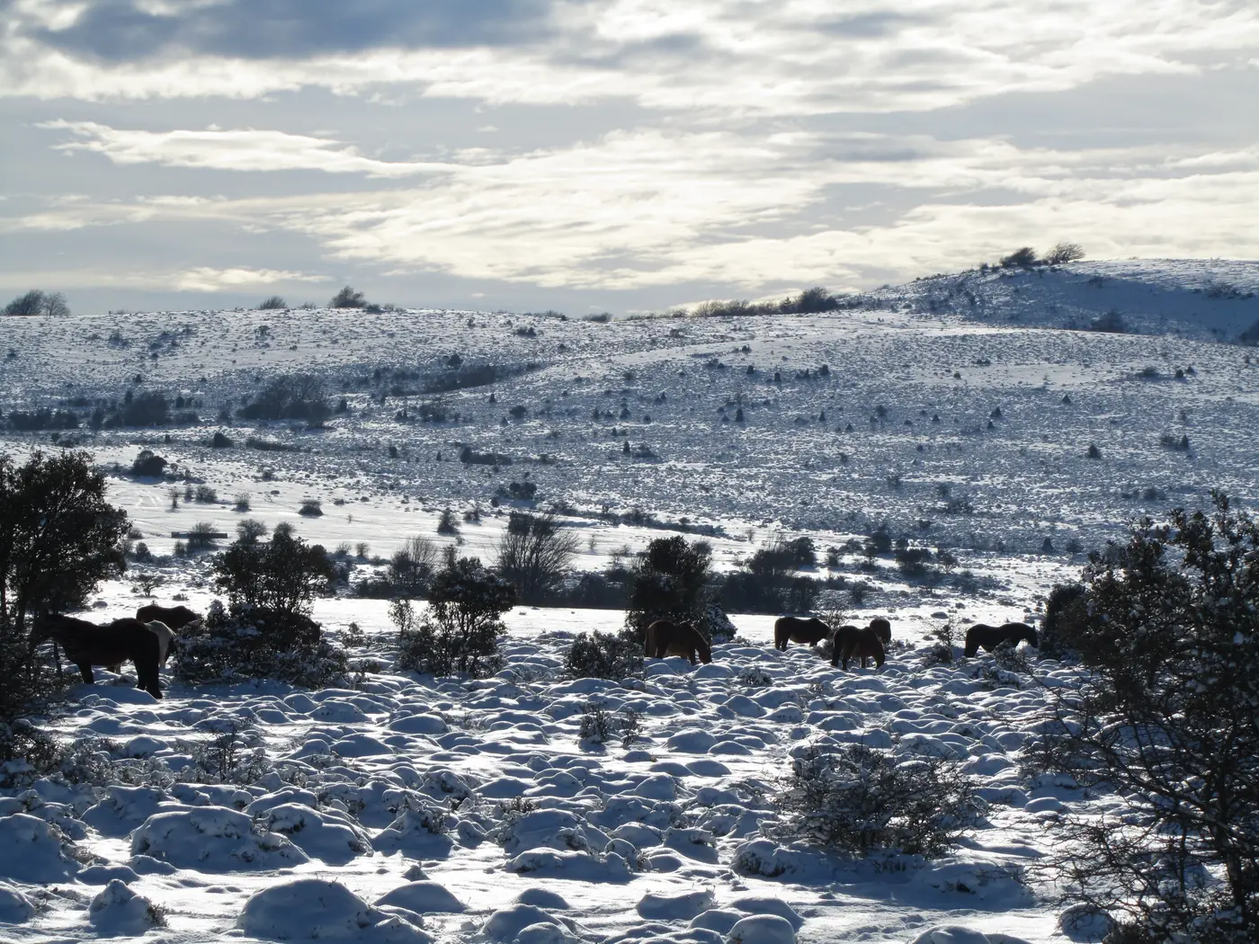 Paisaje de la ruta Senda de la Dehesa en el Monte Santiago
